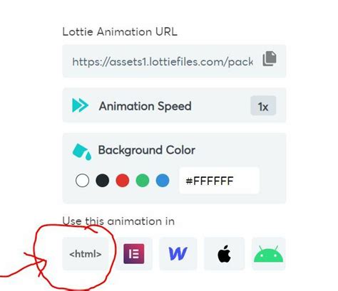 lottiefiles react.